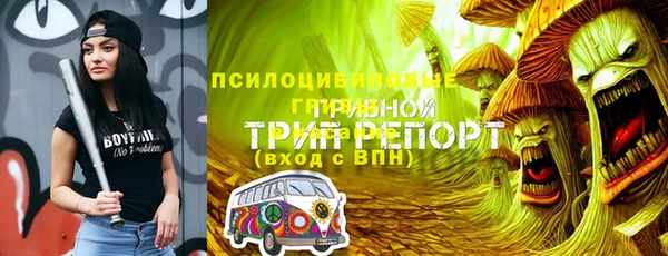 трава Бугульма