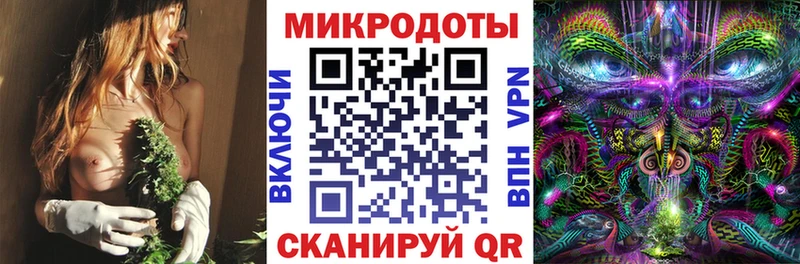 Галлюциногенные грибы мицелий  Городище 